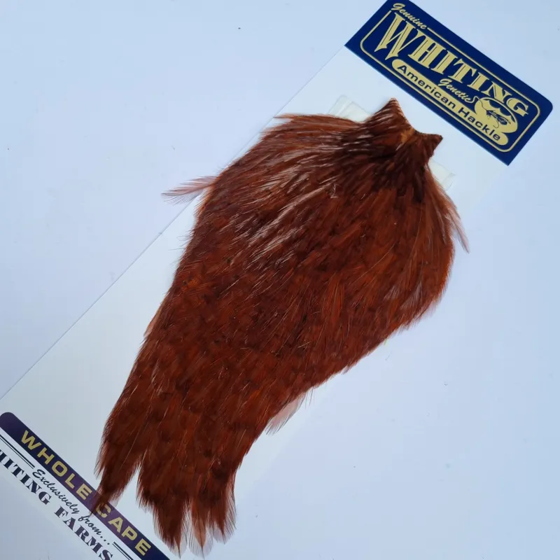 Whiting American Rooster Cape in Coachman Brown-1